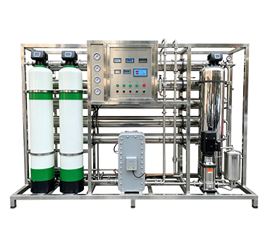 1000LPH EDI Water Treatment Plant Reverse Osmosis With EDI System